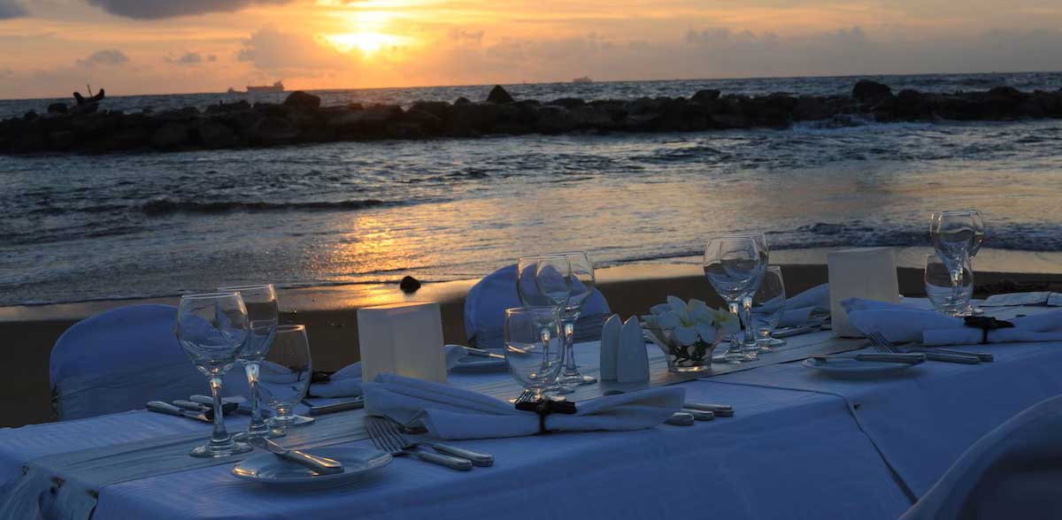 PEGASUS-REEF-73aa7a29-webSLIDER-5