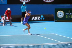 julia-goerges-288556_1280